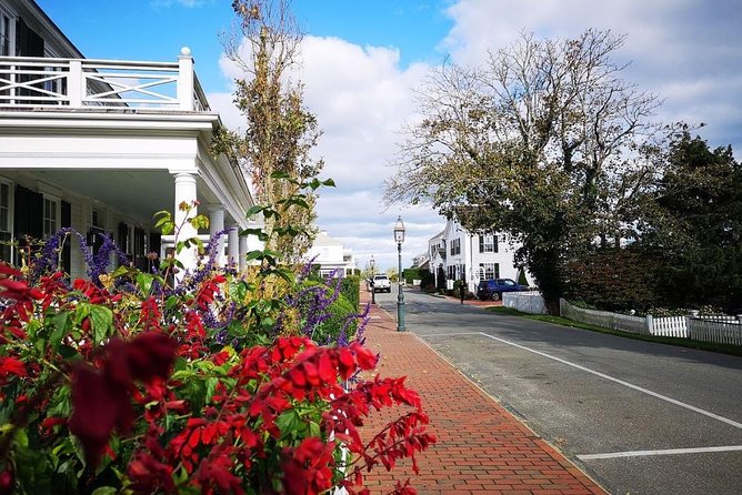 #1 Best 3hr Martha's Vineyard shared Island Tour from Oak Bluffs - The “small group” difference, plus how the guide sets the tone