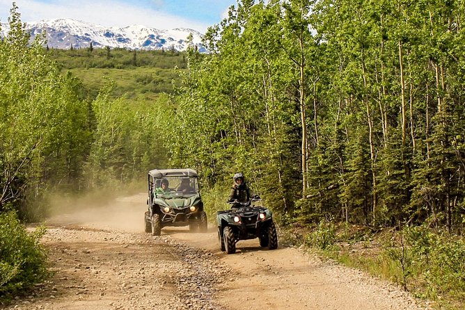2.5-Hour Denali Wilderness ATV Adventure Tour - Terrain Reality Check: Water, Creek Beds, and the Mud Factor