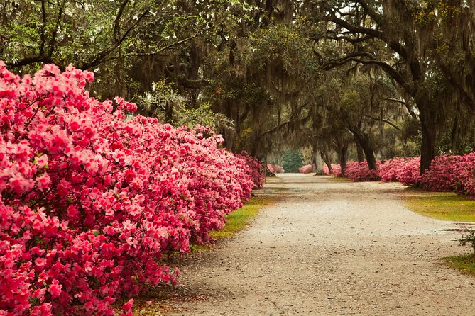 2-Hour Bonaventure Cemetery Walking Tour - Haunted Savannah History, Without the Corny Scares