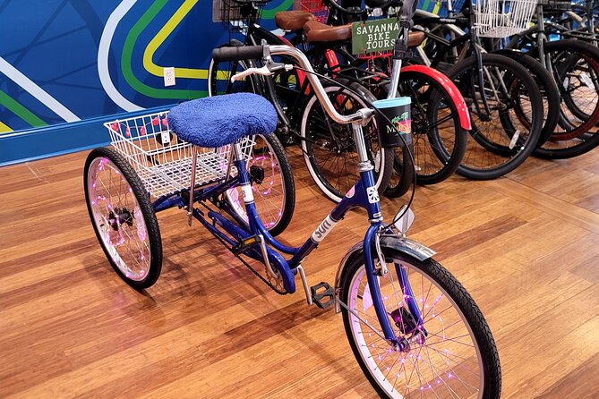 2-Hour Explore Savannah Bike Tour - Historic River Street: port life, trade, and why the waterfront matters