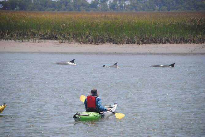 2-Hour Guided Kayak Eco Tour in Charleston - Gear reality check: dry bags, wet shoes, and weather that shows up