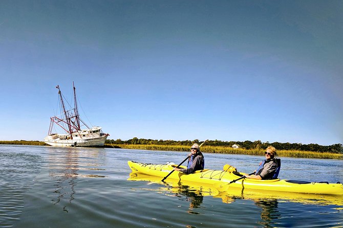 2-Hour Guided Kayak Eco Tour in Charleston - Choosing your time slot: beginners, families, and wind limits