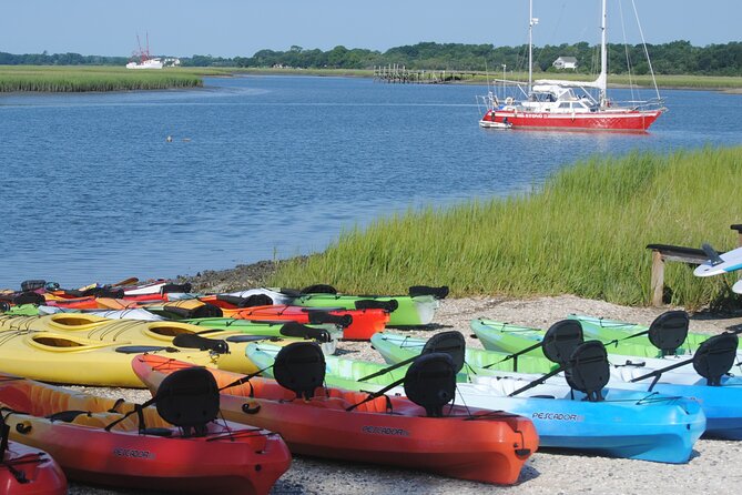 2-Hour Guided Kayak Eco Tour in Charleston - Value in a nutshell: what you pay for and what you get