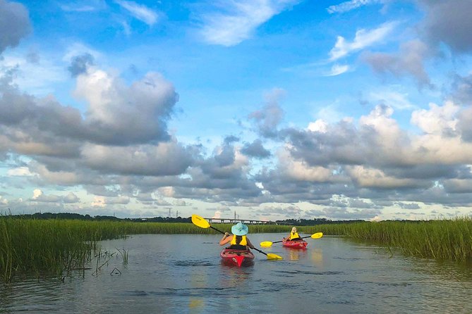 2-Hour Hilton Head Guided Kayak Nature Tour - Salt Marsh to Tidal Creeks: What the Route Really Looks Like