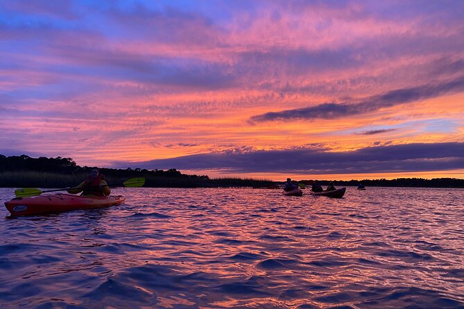 2-Hour Hilton Head Guided Kayak Nature Tour - Wildlife Moments: Birds, Dolphins, and the “Wait, Look There” Factor