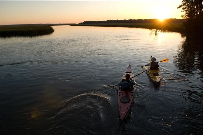 2-Hour Hilton Head Guided Kayak Nature Tour - Price and Value: Why $47 for 2 Hours Can Make Sense
