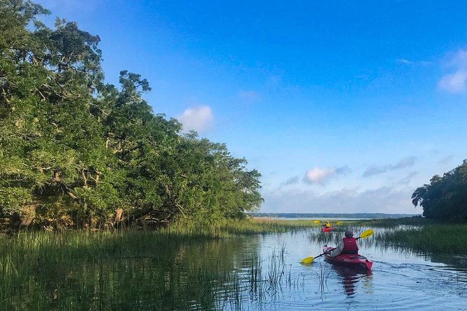 2-Hour Hilton Head Guided Kayak Nature Tour - Who This Kayak Nature Tour Is Best For