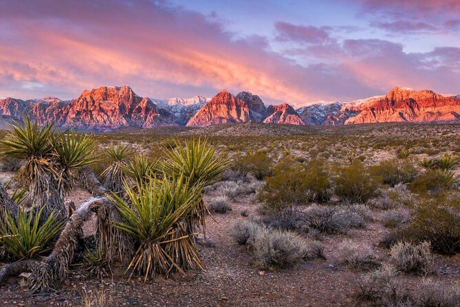2-Hour Horseback Riding through Red Rock Canyon - Key things to know before you go