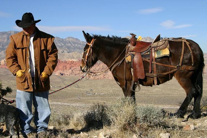 2-Hour Horseback Riding through Red Rock Canyon - The wranglers: why people remember names like Denise, Riley, and Haley