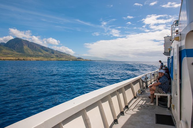 2-Hour Oahu Whale Watch from Ala Wai Harbor, Waikiki - Live whale spotting, and how that hydrophone changes the waiting game