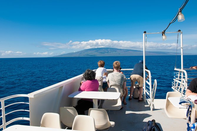 2-Hour Oahu Whale Watch from Ala Wai Harbor, Waikiki - The “BYOB and snacks” setup, plus comfort details that reduce stress