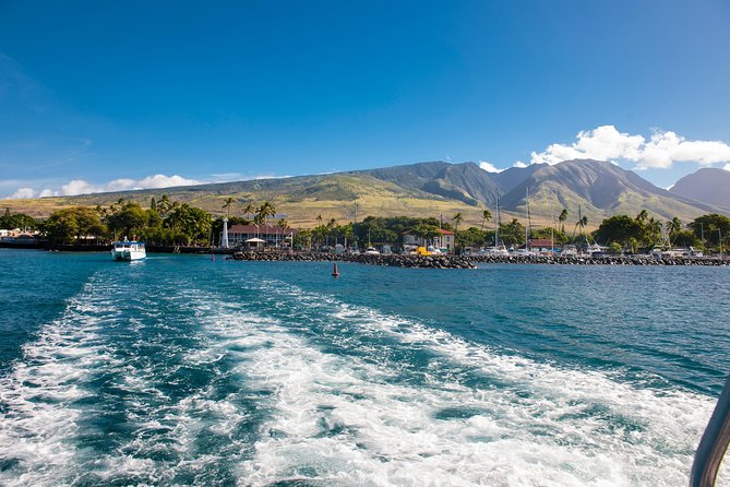 2-Hour Oahu Whale Watch from Ala Wai Harbor, Waikiki - Weather, choppy water, and how to avoid a miserable ride