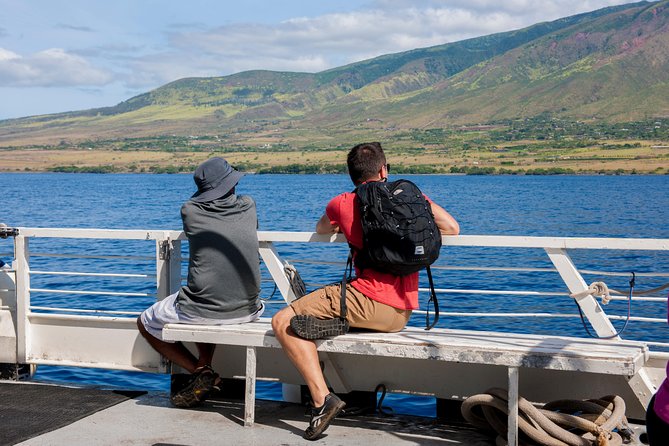 2-Hour Oahu Whale Watch from Ala Wai Harbor, Waikiki - Price and value, why $49.95 can feel fair for a Waikiki whale watch