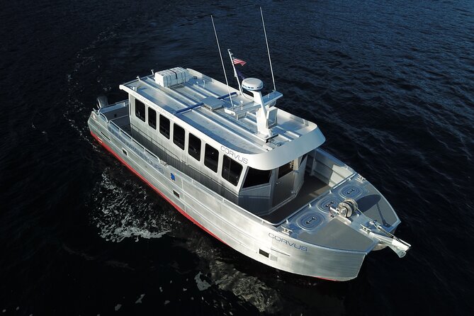 3.5 Hour Crowd-Skipping Whale Tour in Juneau, Alaska - Why this small-boat whale tour works in Juneau