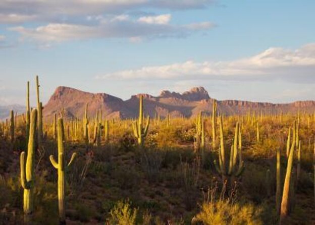 3 Hour Guided TomCar ATV Experience in Sonoran Desert - Key things you should know before you go