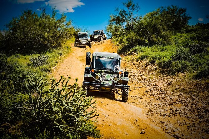 3 Hour Guided TomCar ATV Experience in Sonoran Desert - The Tomcar experience: safety gear, harnesses, and who can drive
