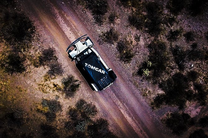 3 Hour Guided TomCar ATV Experience in Sonoran Desert - Stop moments: views, desert lessons, and the outside time