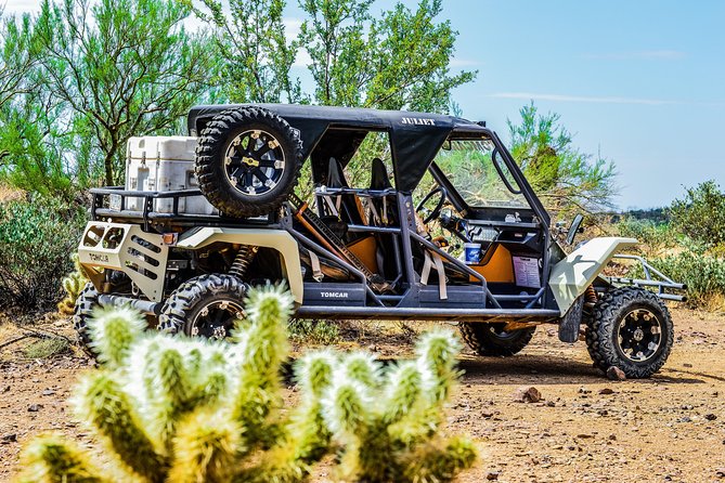 3 Hour Guided TomCar ATV Experience in Sonoran Desert - How rough is it really, and how to prep for comfort