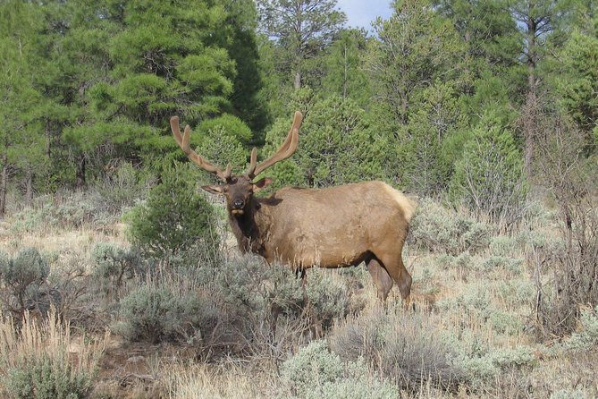 3 Hour Off-Road Sunset Safari to Grand Canyon with Entrance Gate Detour - Timing and cold reality: how to dress for a sunset jeep ride