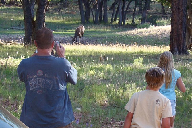 3 Hour Off-Road Sunset Safari to Grand Canyon with Entrance Gate Detour - Price and value: is $133.34 for 3 hours worth it?