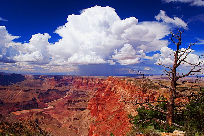 3 Hour Off-Road Sunset Safari to Grand Canyon with Entrance Gate Detour - Who should book this Grand Canyon sunset safari, and who might skip it