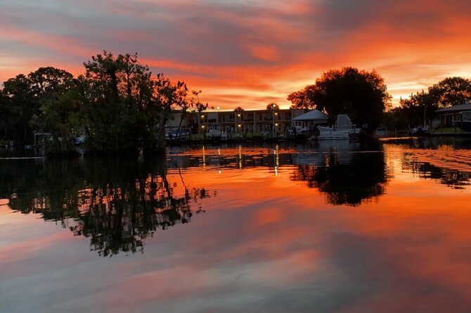 3 Hour Small Group All Inclusive Manatee Swim with free Photo pkg - Warm boat, hot cocoa, and your included photo-video package