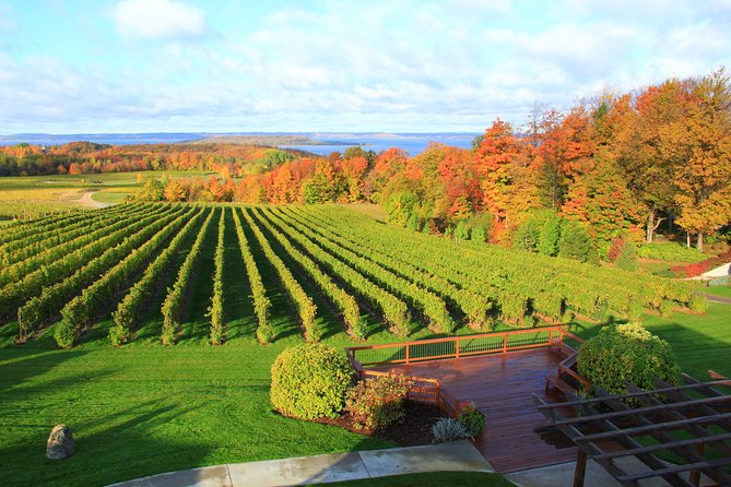 5-Hour Traverse City Wine Tour: 4 Wineries on Old Mission Peninsula - Price and Value: What $79 Really Buys (and What You’ll Pay On Top)