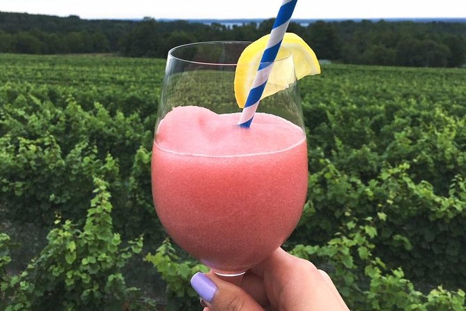 5-Hour Traverse City Wine Tour: 4 Wineries on Old Mission Peninsula - Stop 1 on the Peninsula: Chateau Chantal Views and European-Style Setting
