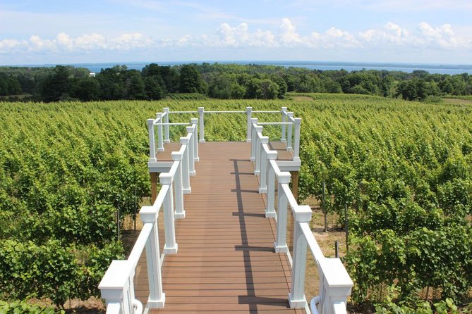 5-Hour Traverse City Wine Tour: 4 Wineries on Old Mission Peninsula - Stop 4: Bonobo Winery for World-Class Wine and Lots of Snacks