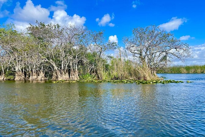 60 min. Everglades Airboat ride & pick-up ,small group +pro guide - Airboat reality check: seating, noise, speed, and what you should wear