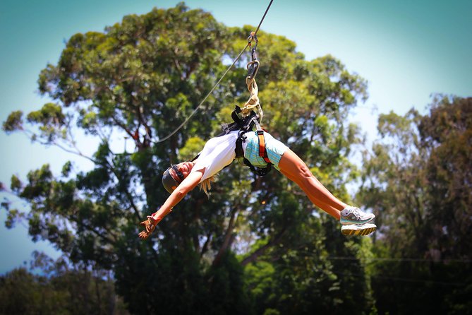 7-Line Maui Zipline on the North Shore - Camp Maui, WWII ground: why this North Shore zipline feels special