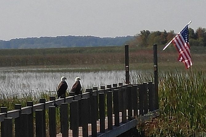 90 minute Everglades Airboat Tour near Orlando Florida - Why A 90-Minute Orlando Everglades Airboat Tour Makes Sense