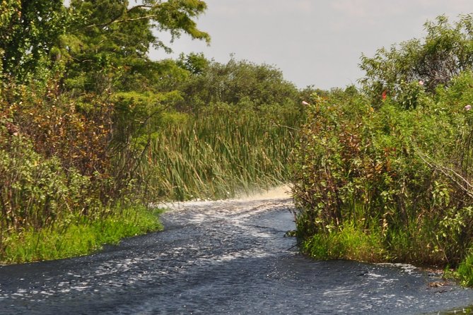 90 minute Everglades Airboat Tour near Orlando Florida - Meeting At 2830 Neptune Rd, Kissimmee, Then Settling In