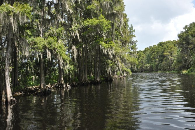 90 minute Everglades Airboat Tour near Orlando Florida - Seating, Ride Smoothness, And The Photo Angle