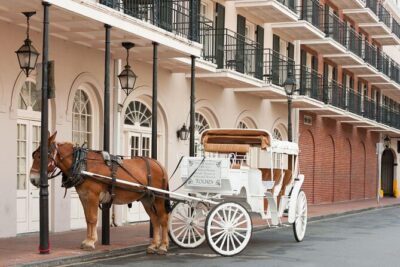 Adults-Only New Orleans Ghost, Crime, Voodoo, and Vampire Tour