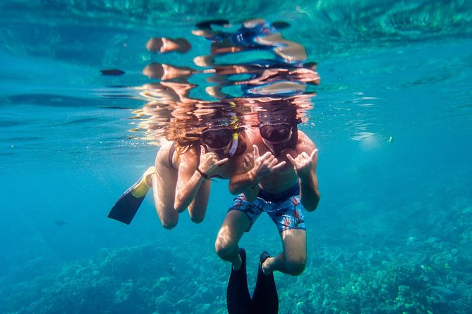 Afternoon Sail & Snorkel to the Captain Cook Monument - Stop 2 in Kealakekua Bay Marine Preserve: snorkeling in protected waters