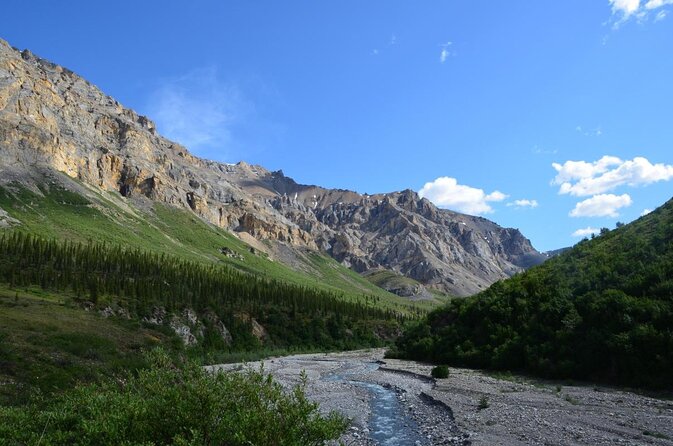 Alaskan Back Country Side by Side ATV Adventure with Meal - Key highlights you should know