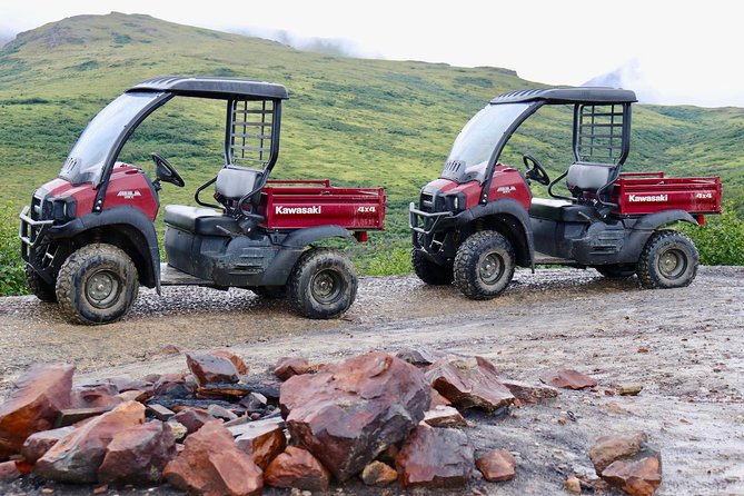 Alaskan Back Country Side by Side ATV Adventure with Meal - From Otto Lake to the Alaska Range in 3.5 hours