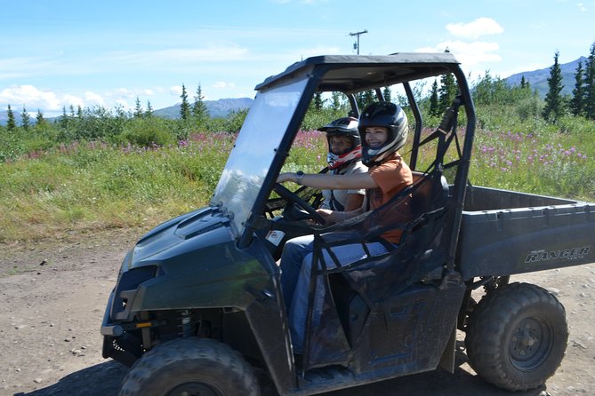 Alaskan Back Country Side by Side ATV Adventure with Meal - Wildlife spotting, but keep expectations realistic