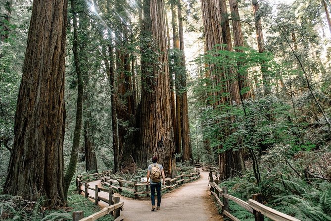 Alcatraz Tour Plus Muir Woods and Sausalito Day Trip - One ticket, three icons: how this day trip saves your time