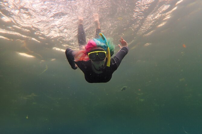 All-Inclusive Small Group Manatee Swim with Free Photos - Meeting at Nature’s Discovery on US Hwy 19, then getting geared fast