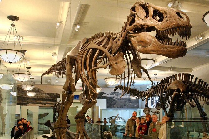American Museum of Natural History Admission Ticket - First Stop at AMNH: What This Admission Ticket Really Gives You