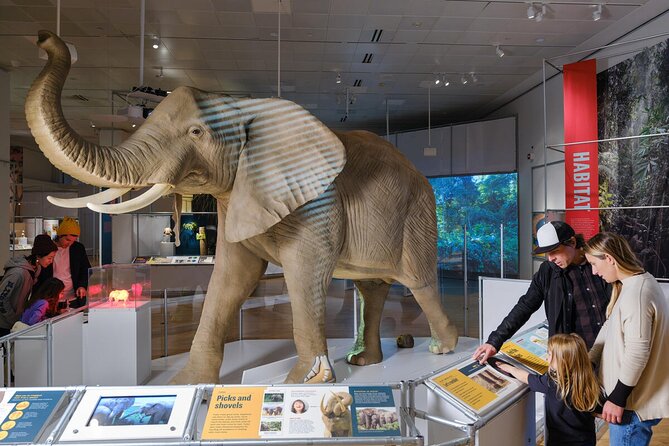 American Museum of Natural History Admission Ticket - The Core Experience: Your AMNH Route Through Iconic Halls