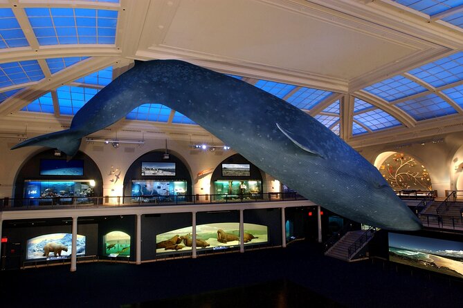 American Museum of Natural History Admission Ticket - Food and Breaks: The Reality Check for Kids and Adults