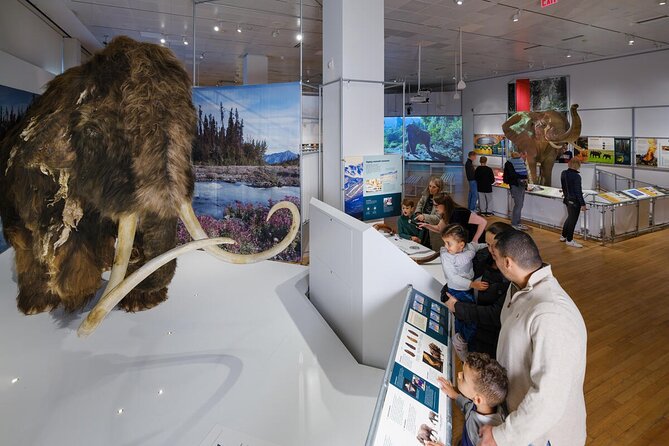 American Museum of Natural History Admission Ticket - Getting In Smoothly: Voucher to Ticket, and Why Timing Matters