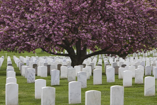 Arlington National Cemetery Hop-On Hop-Off Tour - Practical tips for heat, stops, and making the day feel easier
