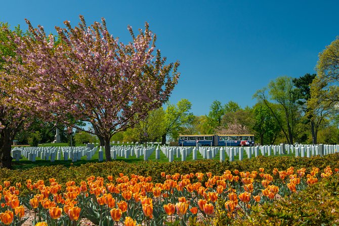 Arlington National Cemetery Hop-On Hop-Off Tour - Who should book this trolley loop, and who might skip it
