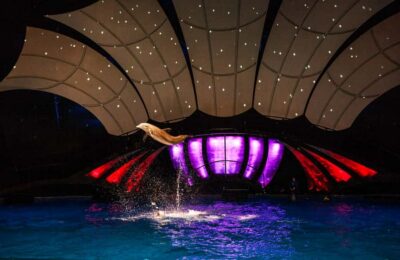 Georgia Aquarium Skip-the-Box-Office Entry Ticket