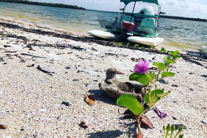 Backwater Adventure's CraigCat Tours of the 10,000 Islands - Flying low over the mangroves, with a guide to keep you on track