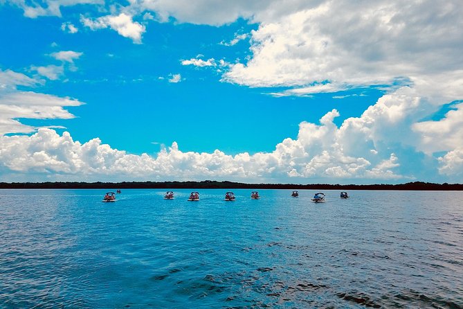 Backwater Adventure's CraigCat Tours of the 10,000 Islands - The short island stop: shells, sand, and a quick reset